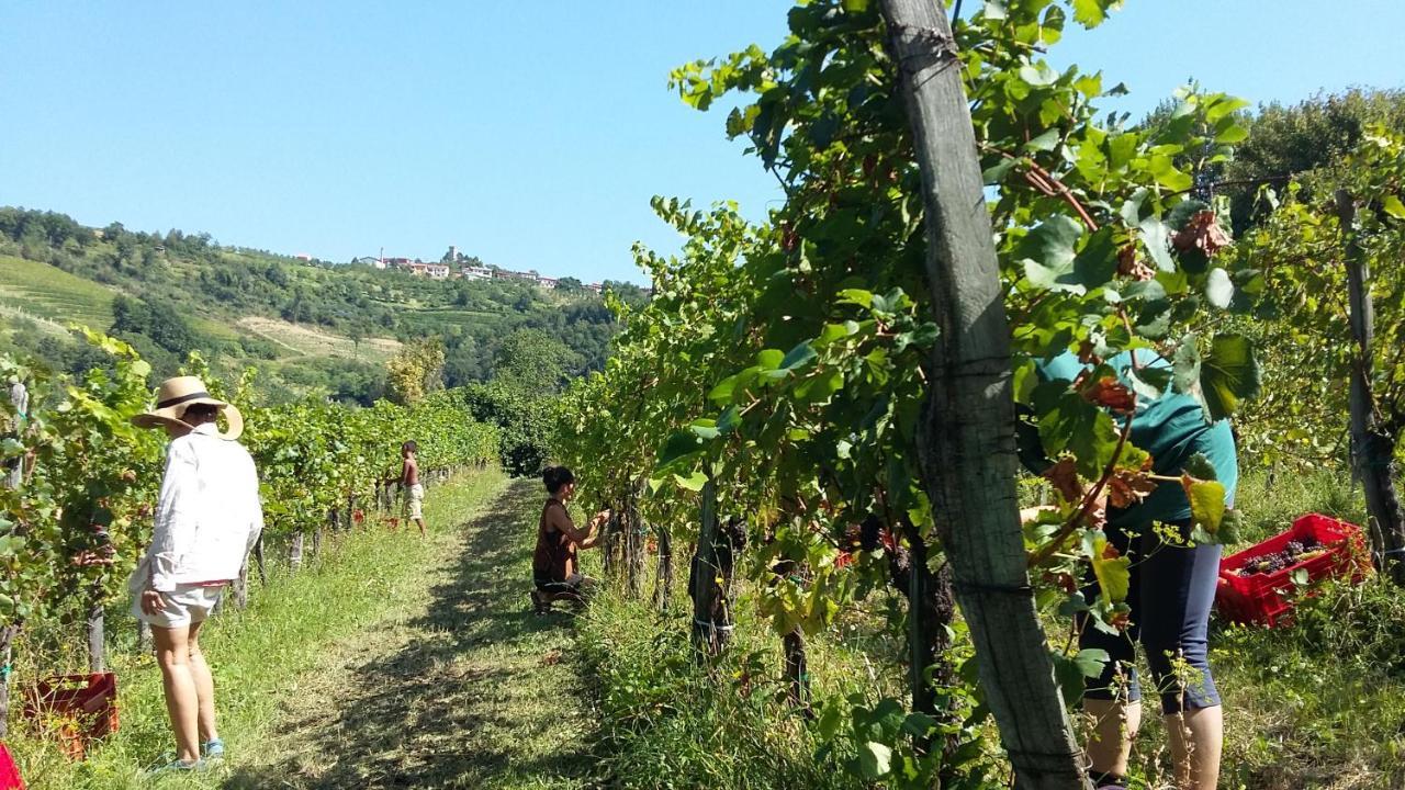 Farmstay Kmetija Stekar Kojsko Dış mekan fotoğraf