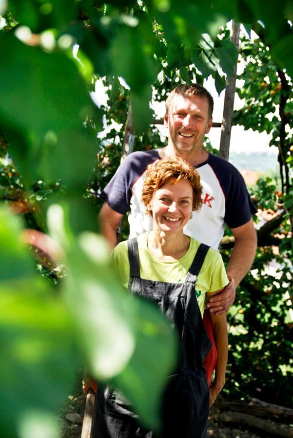 Farmstay Kmetija Stekar Kojsko Dış mekan fotoğraf
