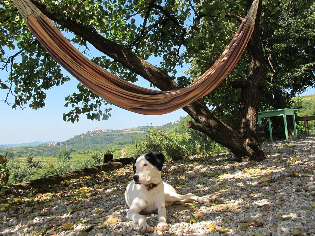 Farmstay Kmetija Stekar Kojsko Dış mekan fotoğraf