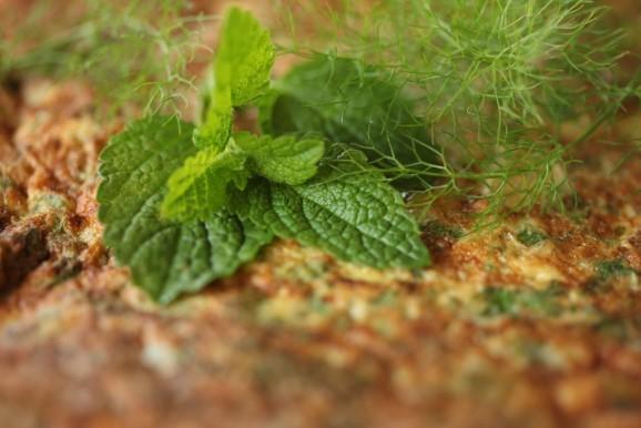 Farmstay Kmetija Stekar Kojsko Dış mekan fotoğraf