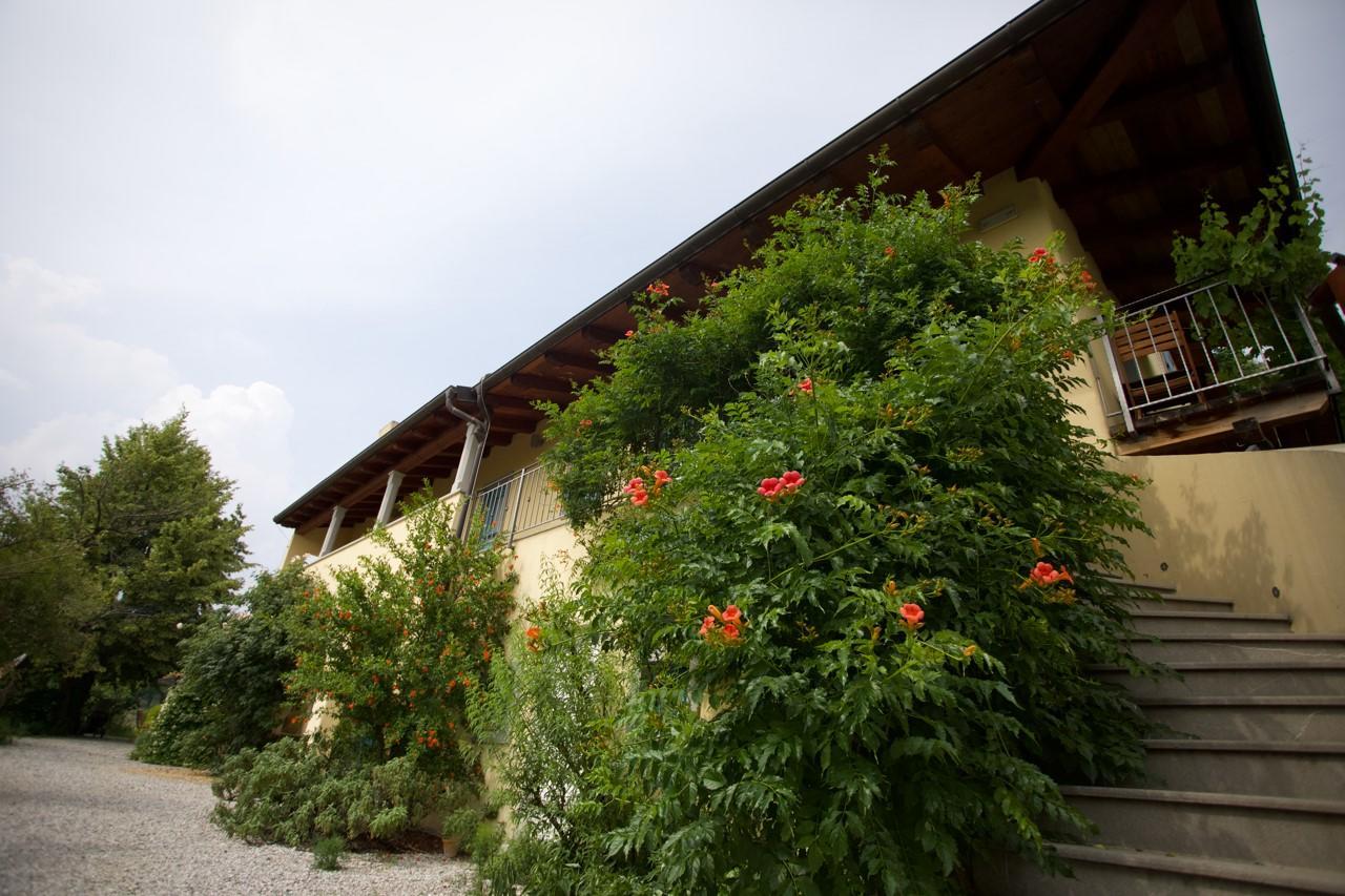 Farmstay Kmetija Stekar Kojsko Dış mekan fotoğraf