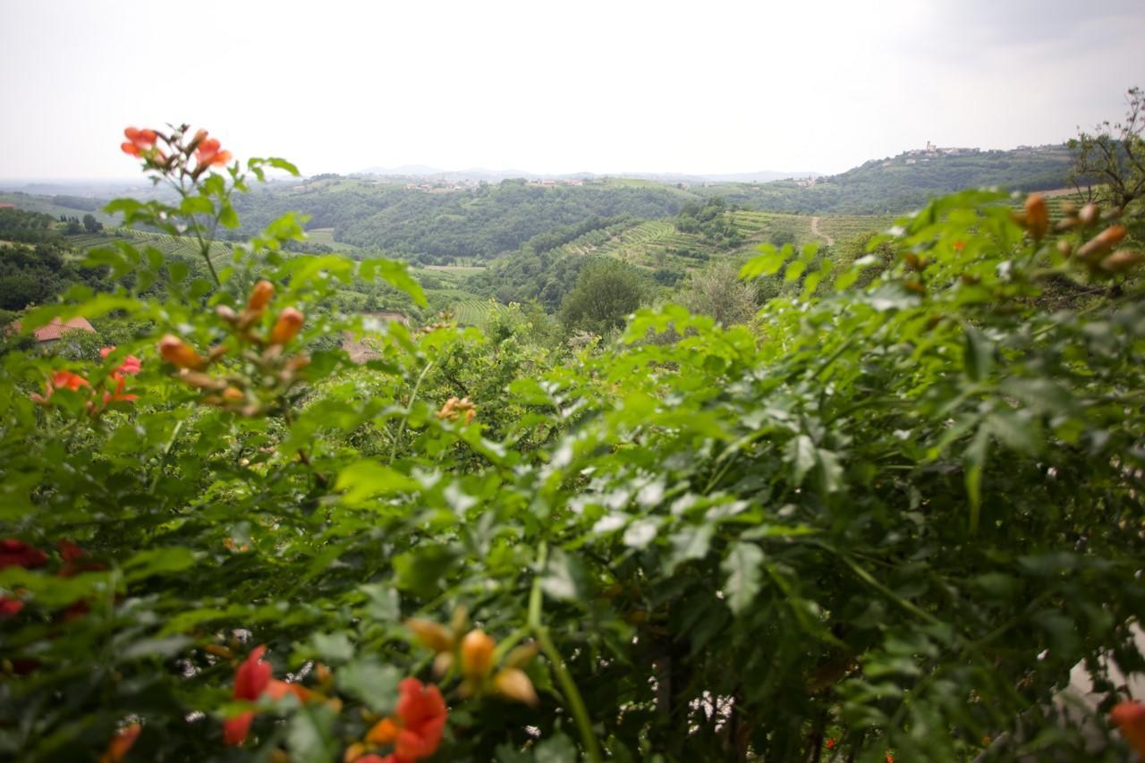 Farmstay Kmetija Stekar Kojsko Dış mekan fotoğraf